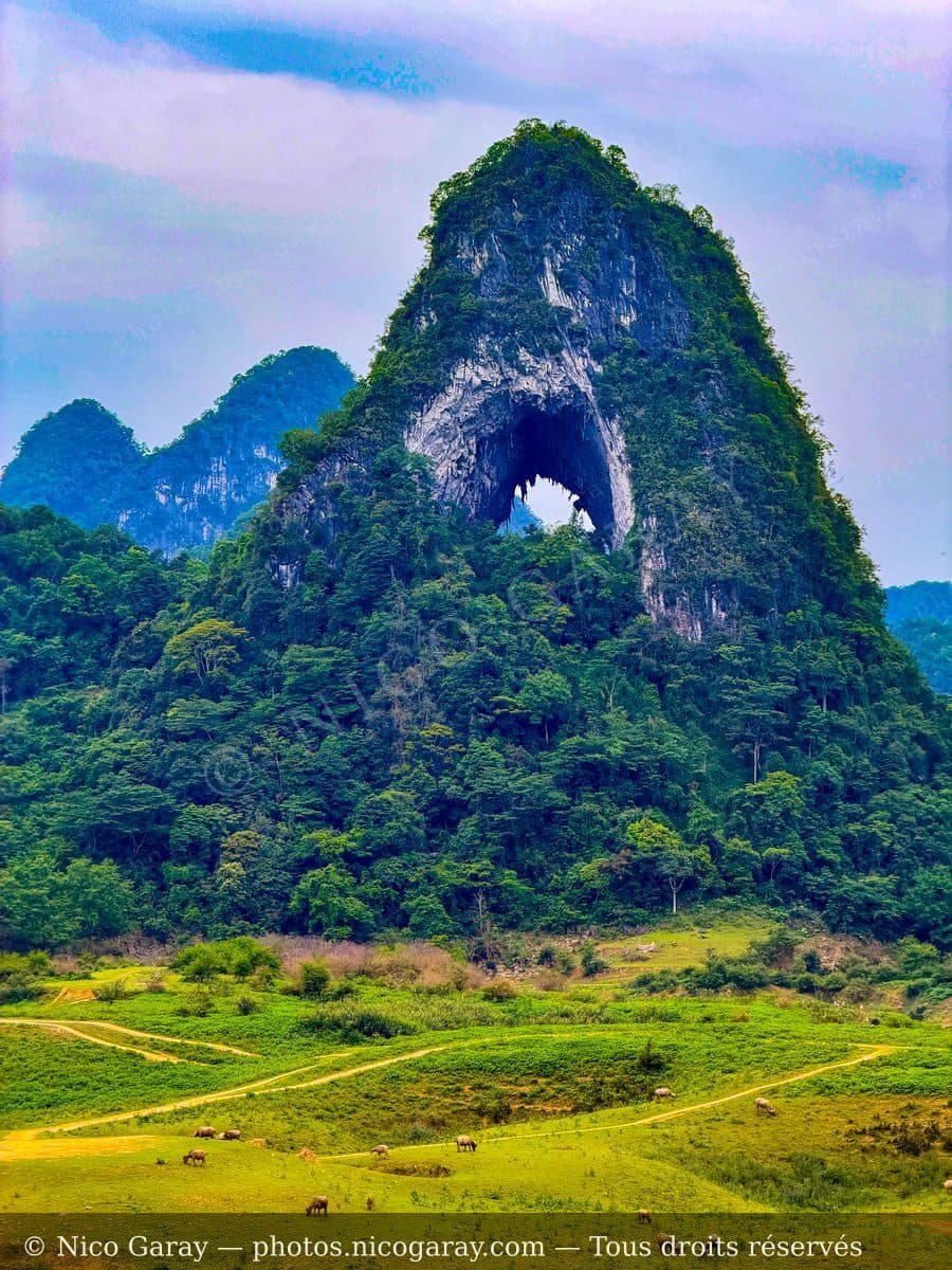 Viet Nam