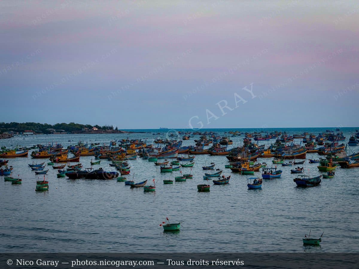 Viet Nam