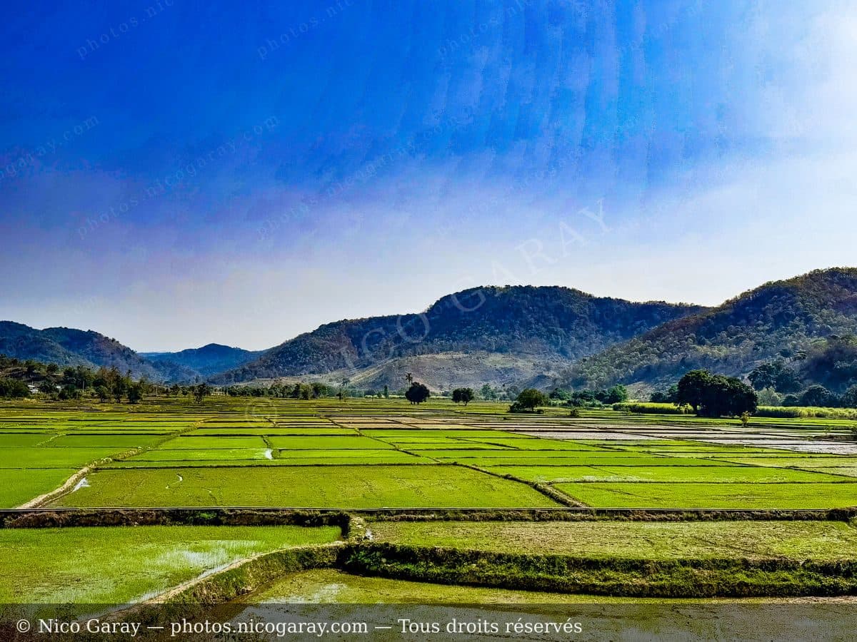 Viet Nam