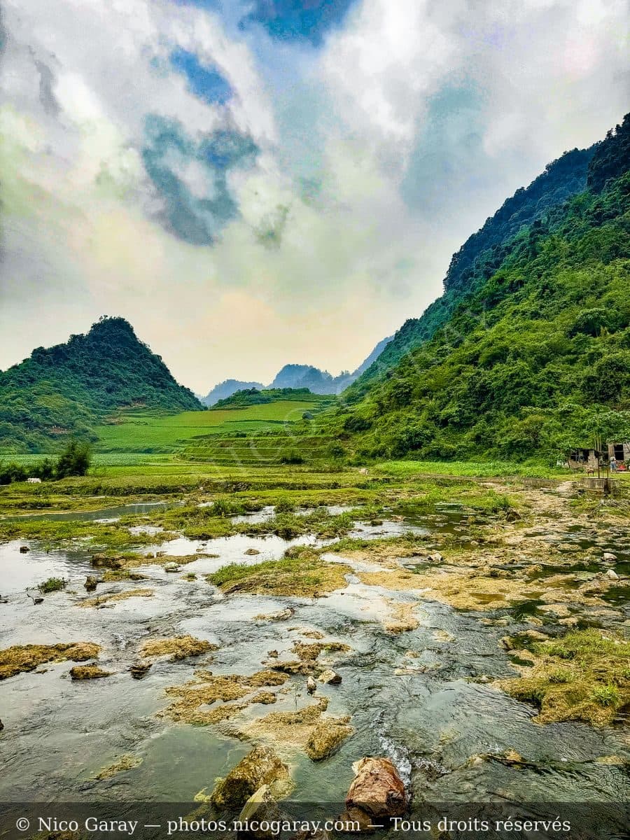Viet Nam