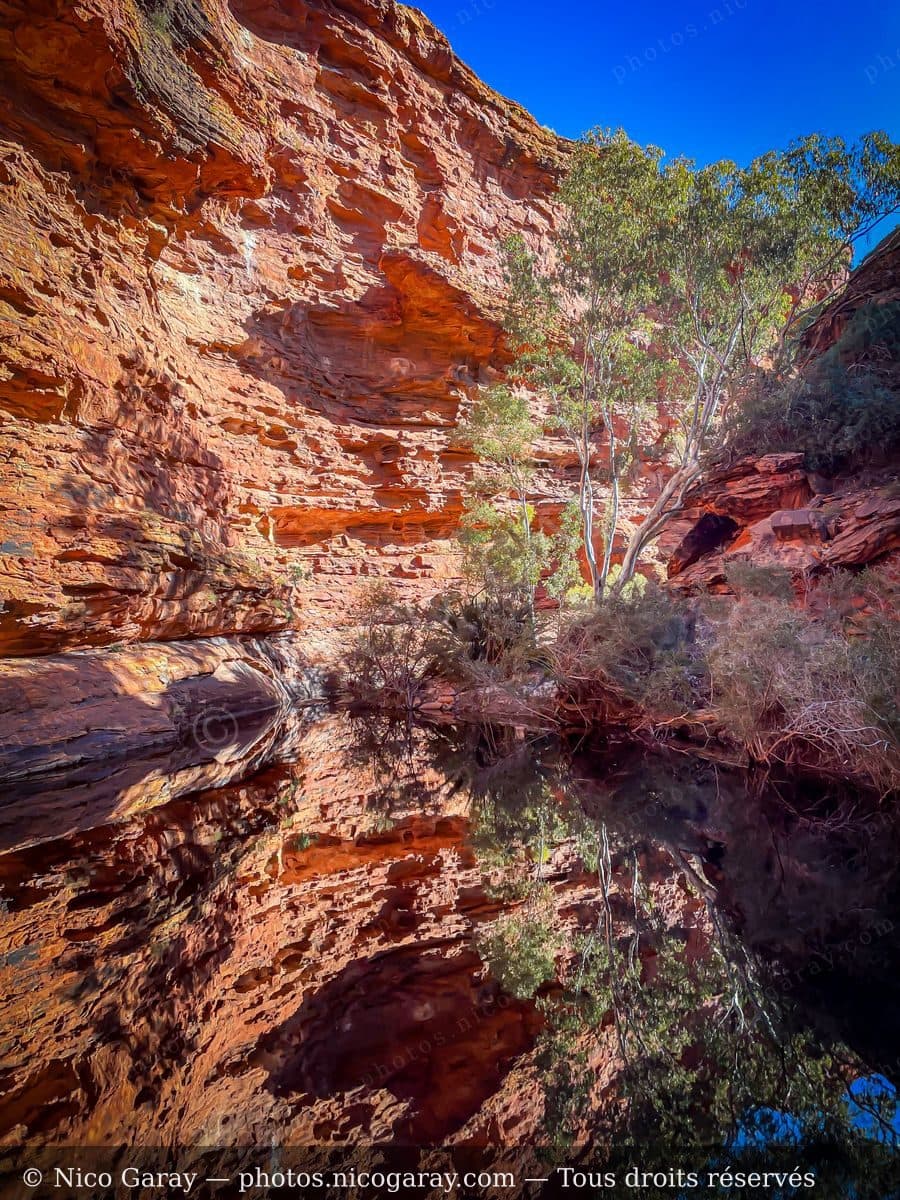 Australie
