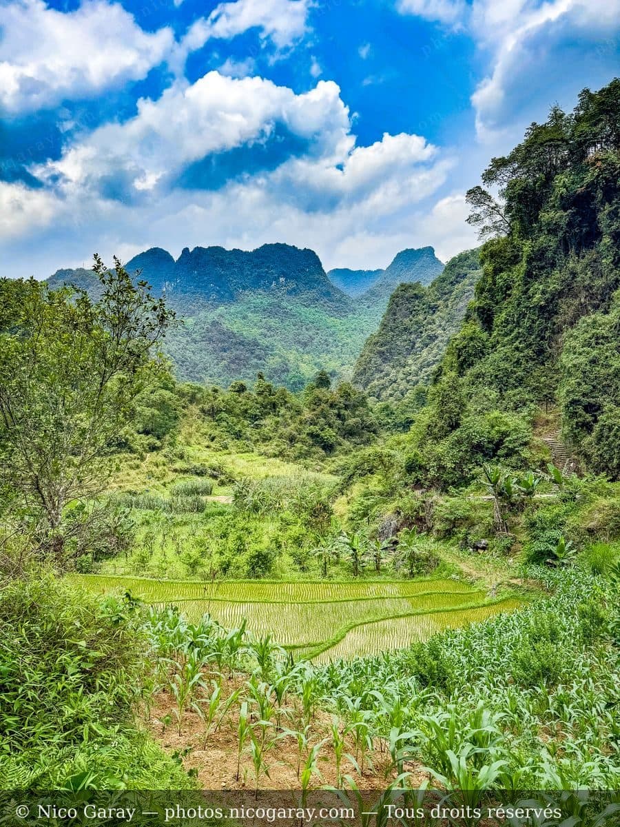 Viet Nam