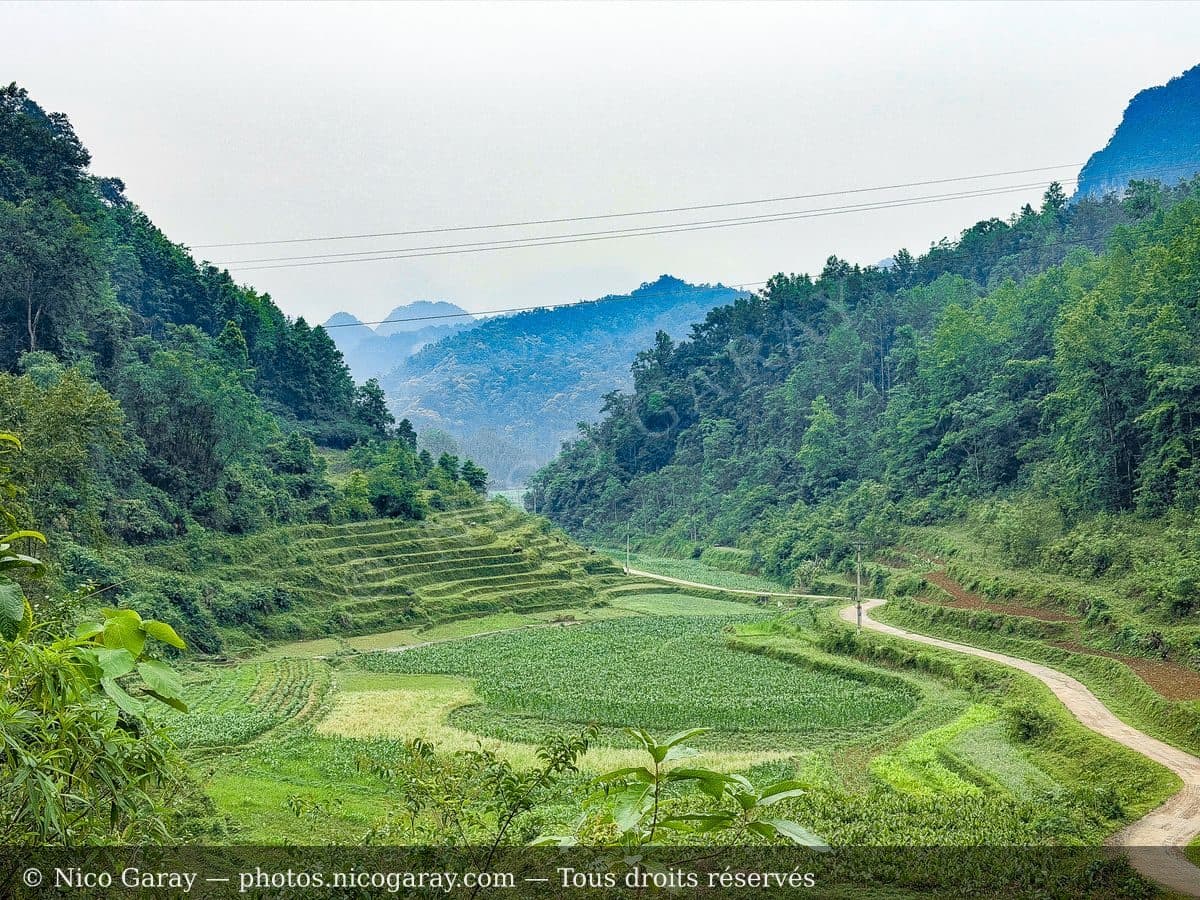 Viet Nam