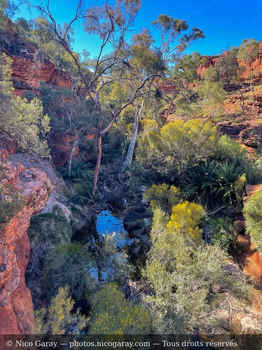 Australie