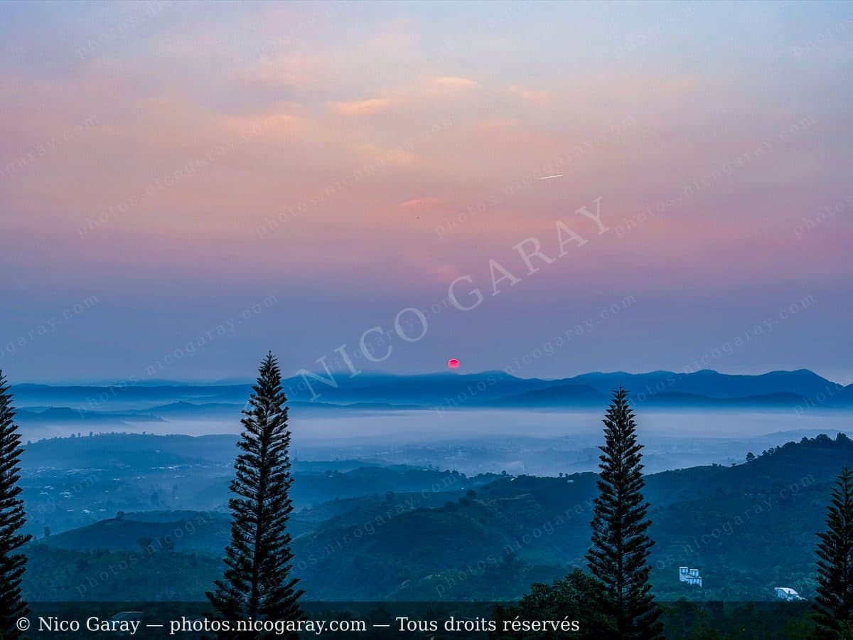 Viet Nam