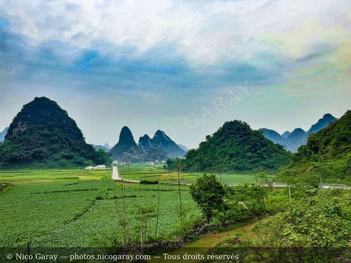 Viet Nam