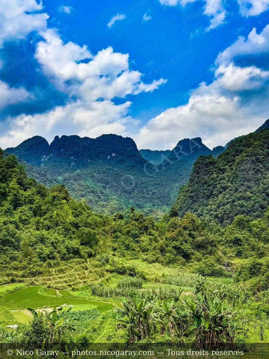 Viet Nam