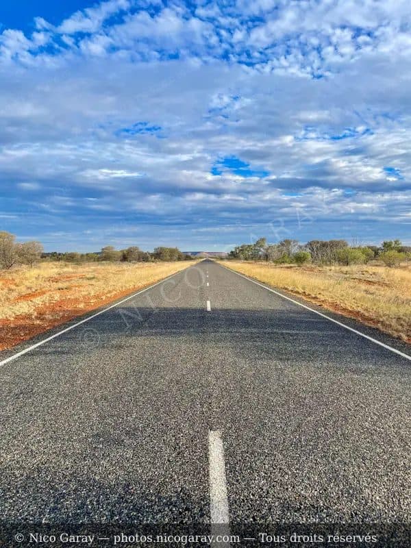 Barkly 4