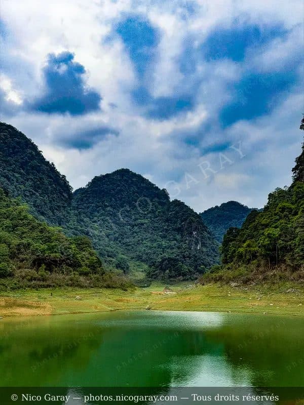 Tra Linh 17